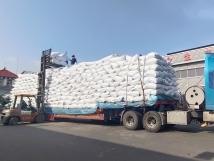 把握機遇、鉚足干勁、承勢而上